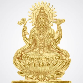 Pooja Store