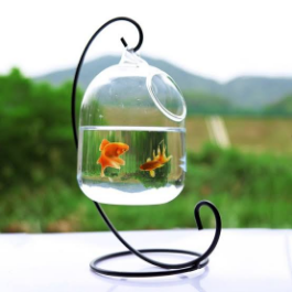 Aquarium Store