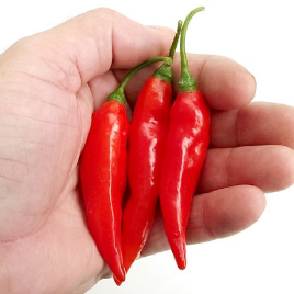 Kashmir Spices