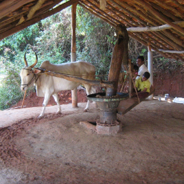 Nandanadana Oils