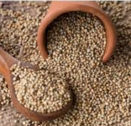 Rajasthani Halwai